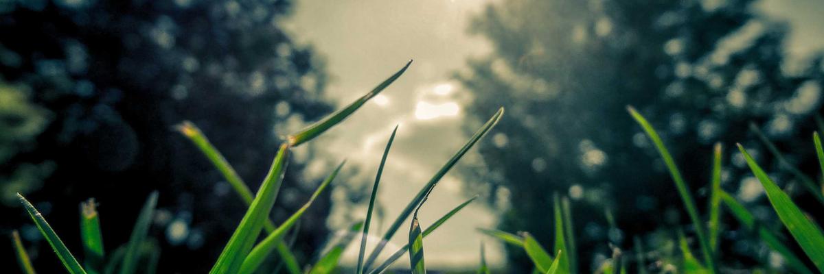 2 offer